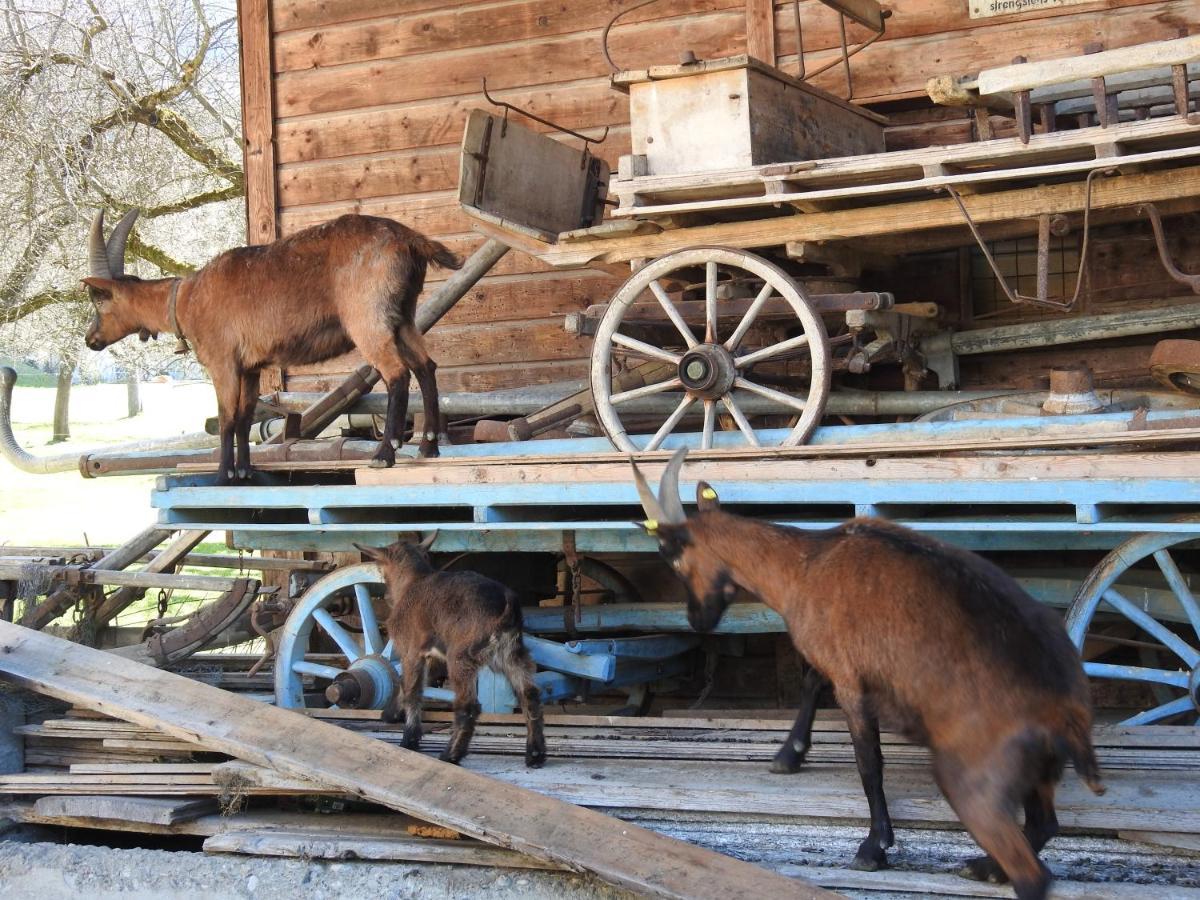 Ferienhaus Hoellwarth Stumm Esterno foto